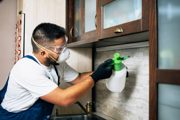 Best Best Pest Control Companies  in Terry, MS