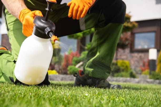 Best Insect Control  in Terry, MS