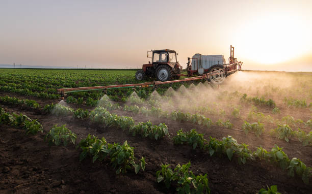 Best Pest Prevention Services  in Terry, MS