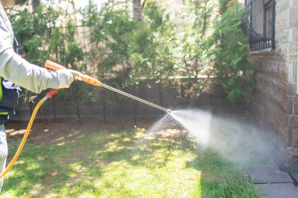 Best Pest Inspection Near Me  in Terry, MS