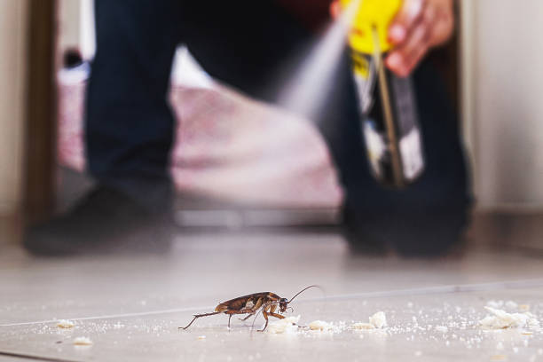 Best Wildlife Control Services  in Terry, MS