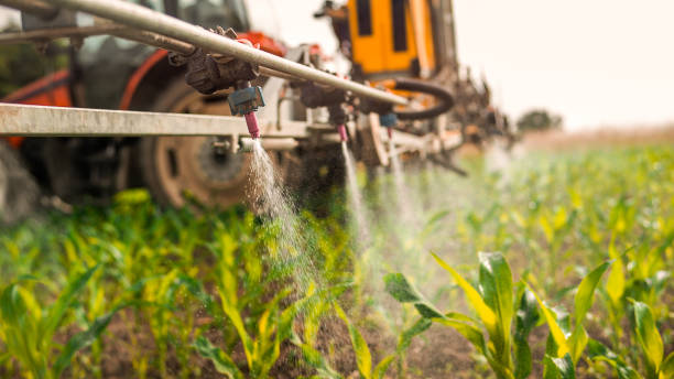 Pest Prevention Services in Terry, MS